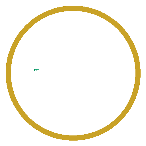 Fecund Empire Foundation circular logo